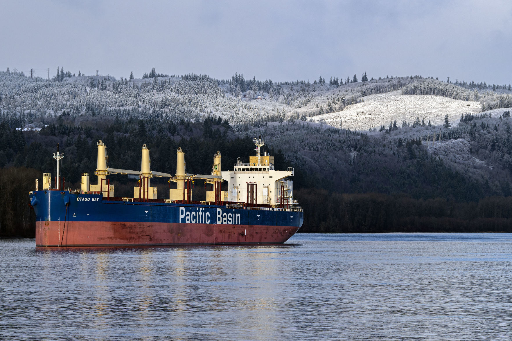Snowy Columbia River